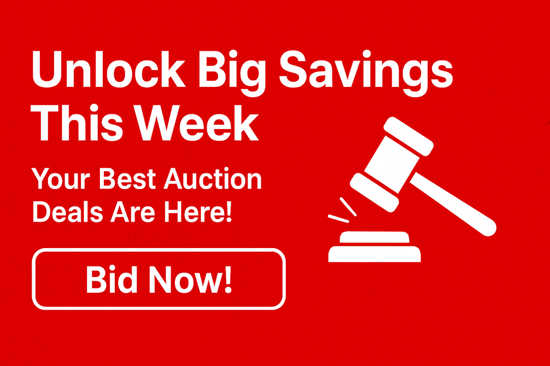 Inventory for the november 23rd auction!