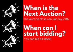 INVENTORY FOR THE JUNE 28TH AUCTION!