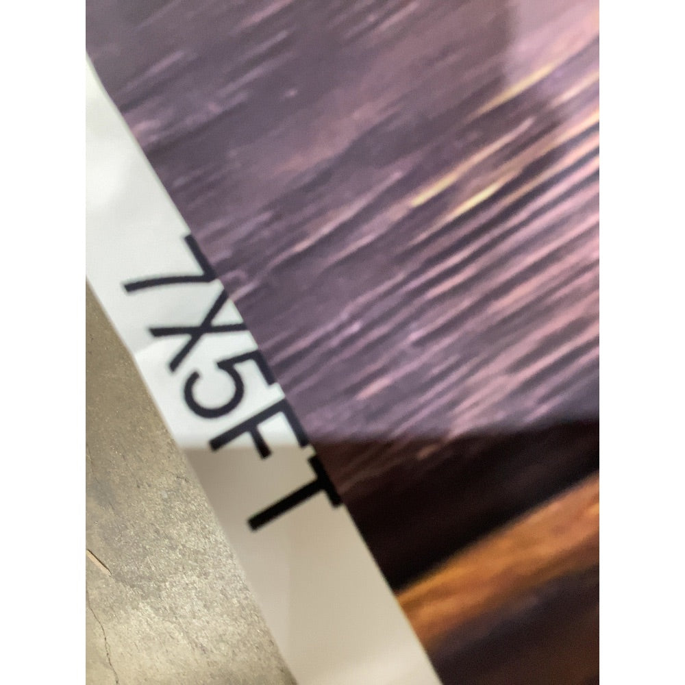 Lot # 591 eBay Wood Grain Backdrop $25.00