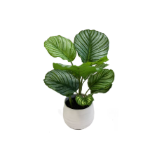 Lot # 300 allen + roth Indoor Artificial Calathea Plant $25