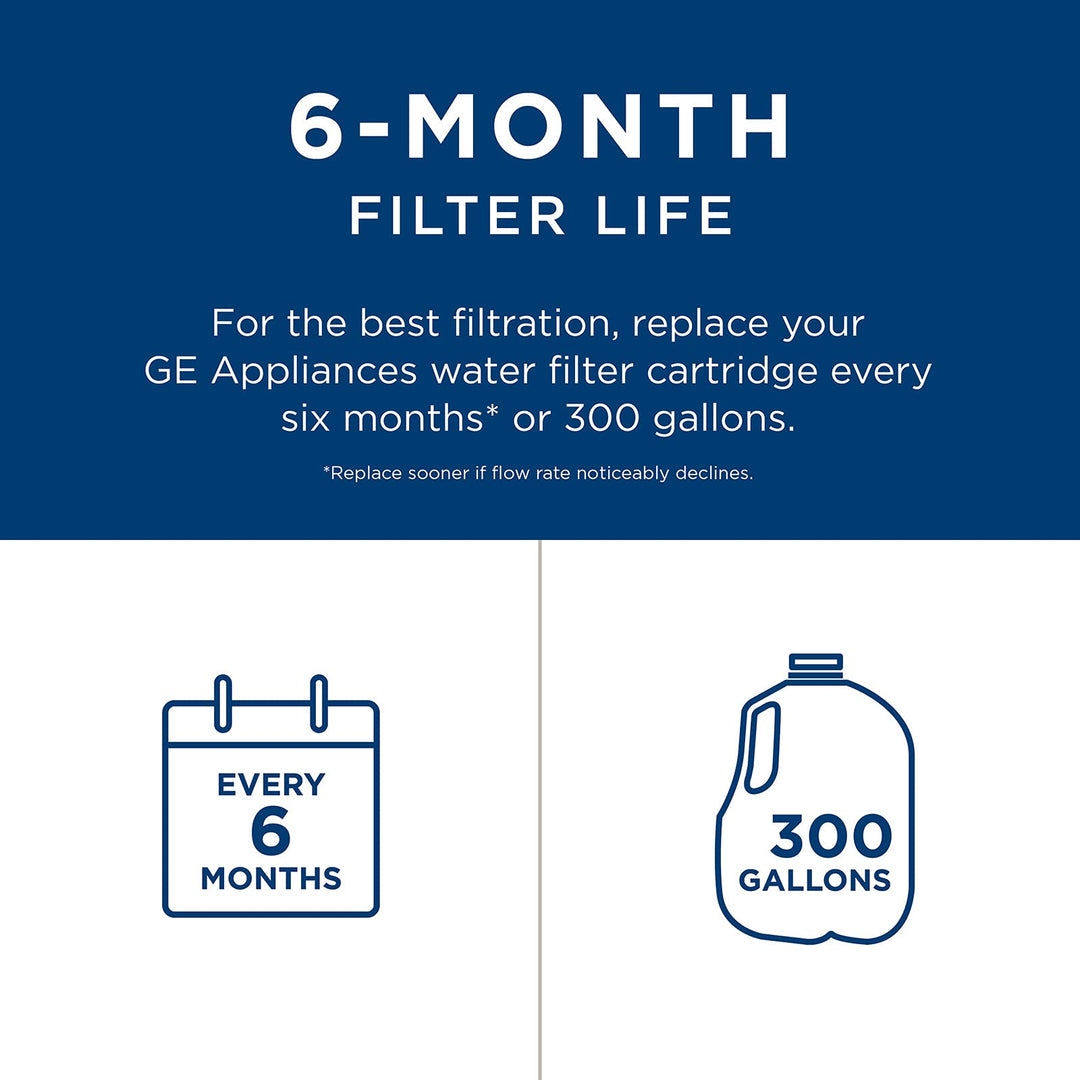 Lot # 1220 GE Refrigerator Water Filter $49.00