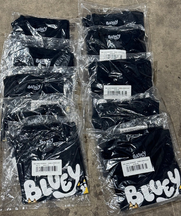 Bluey Party Adult T-Shirts Lot of 10 Small and Large NEW