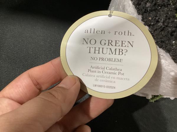 Lot # 300 allen + roth Indoor Artificial Calathea Plant $25