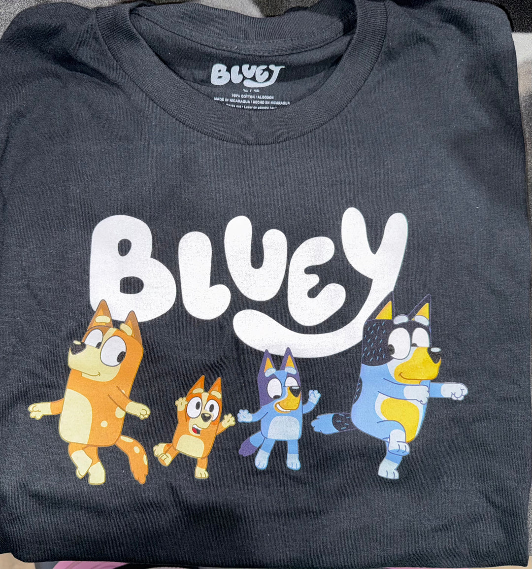 Bluey Party Adult Large T-Shirts Lot of 20 NEW