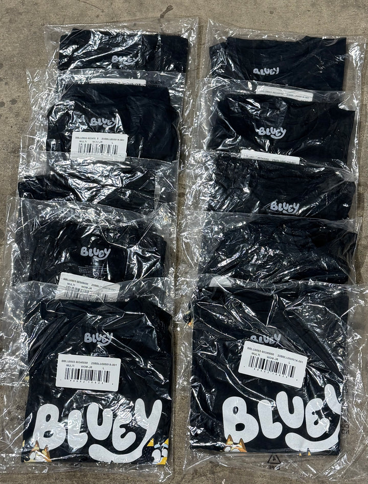 Bluey Party Adult Large T-Shirts Lot of 20 NEW