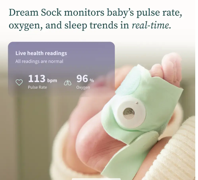 Owlet Dream Duo (USED)
