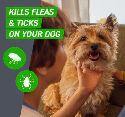 Frontline Plus Flea & Tick Spot Treatment for Small Dogs, 5-22 lbs, 3 Doses  (new)