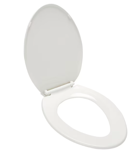 Project Source 18.9" Wood White Elongated Toilet Seat (Oben Box)