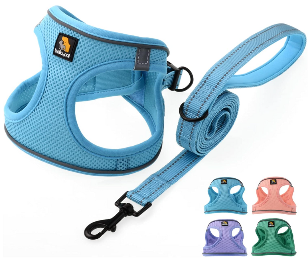 BELLA & PAL Step in Vest Harness (Sky Blue, XXS) (new)