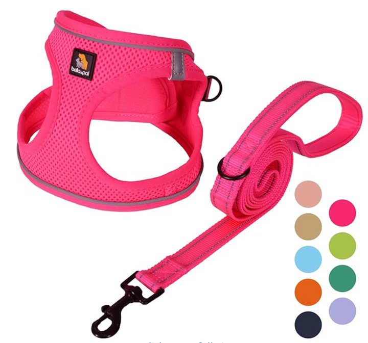 BELLA & PAL Step in Vest Harness (Hot Pink, S)