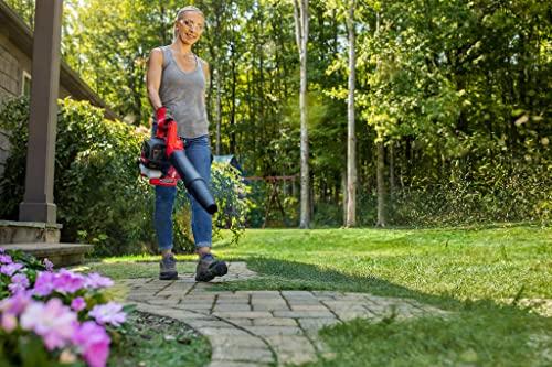 Lot # 739 Craftsman Leaf Blower $149