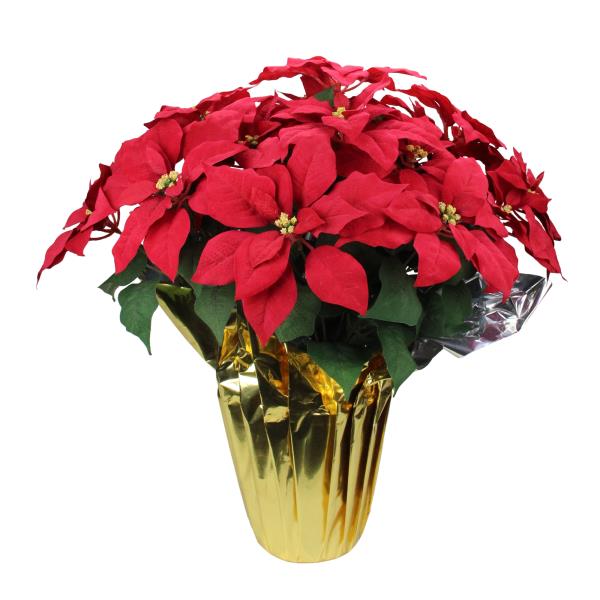 Lot # 1989 Northlight Red Artificial Christmas Poinsettia with Gold Tone Wrapped Pot - Red