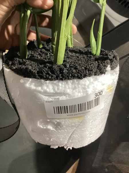 Lot # 300 allen + roth Indoor Artificial Calathea Plant $25