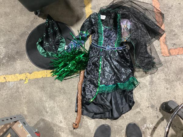 Lot # 161 Princess Factory Cute Green Witch Costume $32